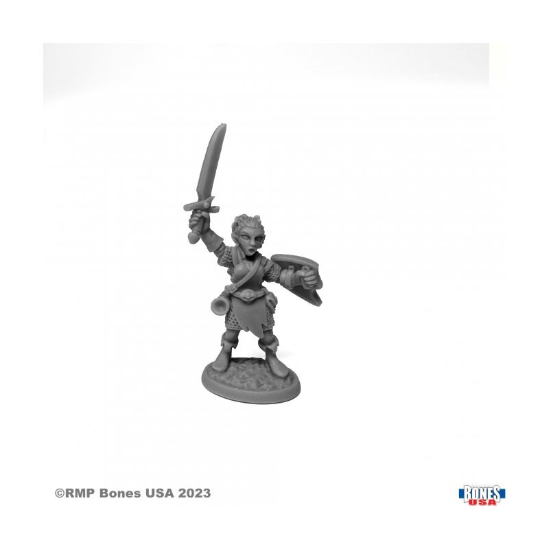 Elliwyn Heatherlark Gnome Bard Von Reaper Aus Reaper Bones USA Legend