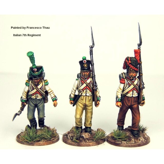 Perry Miniatures: 28mm; French Napoleonic Infantry Battalion 1807-14. (44  miniat.) PERRY MINIATURES PER-FN250