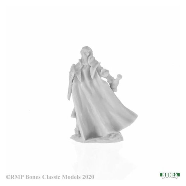 Alandin Elf Paladin Von Reaper Aus Reaper Bones Bei Miniaturicum 2