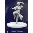 Fantasy Series 1: Female Elf Monk
