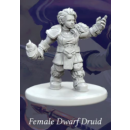 Fantasy Series 1: Female Dwarf Druid