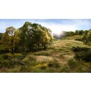 Woodland Scenics FS647 Begrasung Startset