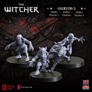 The Witcher - Ogryds 3: Nekker Warriors